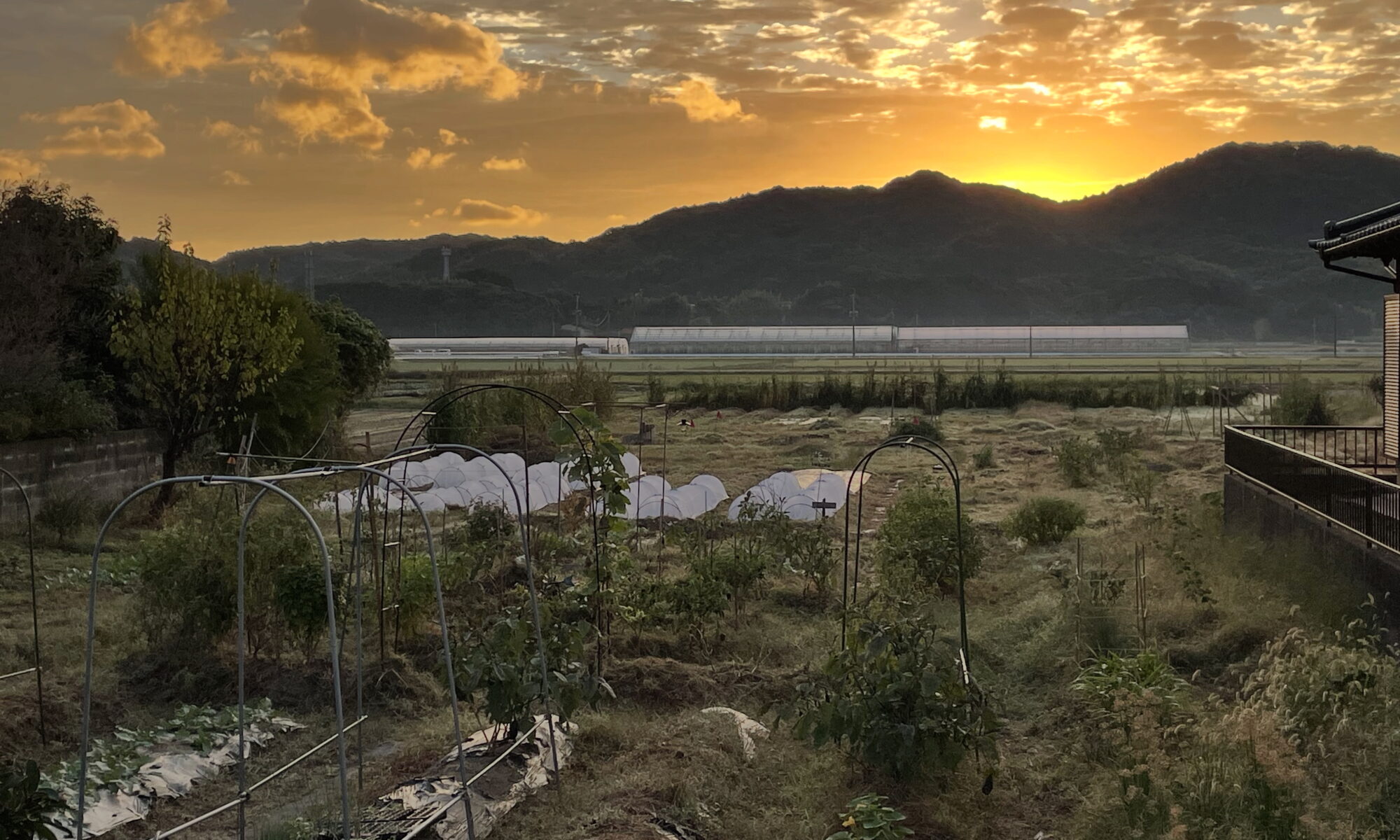 朝焼けを迎える共生ラボしおはま（福岡県福津市）