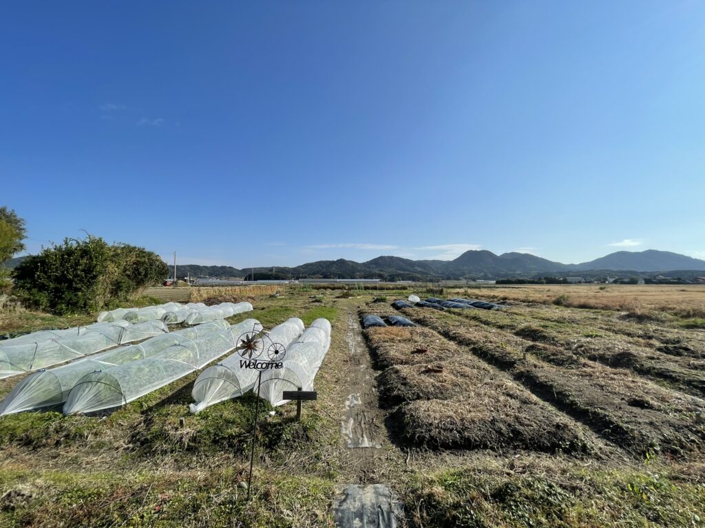 共生ラボ（Since2023）：　自然と共生した不耕起栽培空間